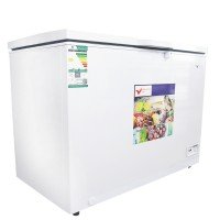 International Vision Freezer 282 liters 10 cubic 